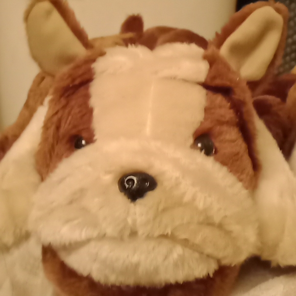 Cute dog slippers 🐕 - Picture 2 of 16